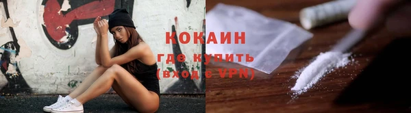 шишки Беломорск