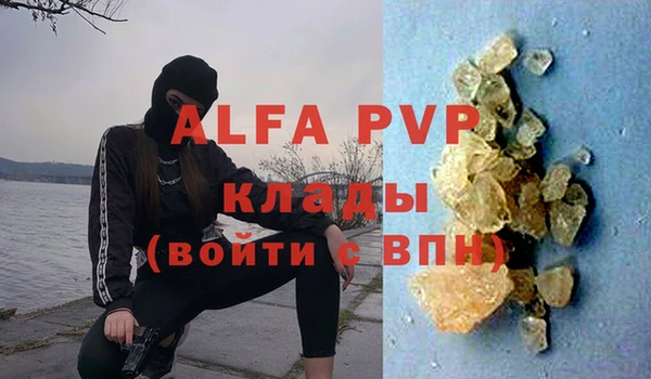 шишки Беломорск