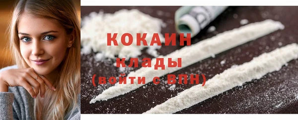 шишки Беломорск